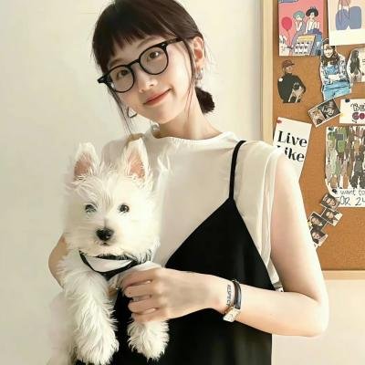 青春恋歌